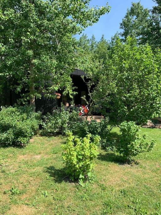 Small Cozy 3-Room House With Terrace & Large Garden Ilmandu Kültér fotó
